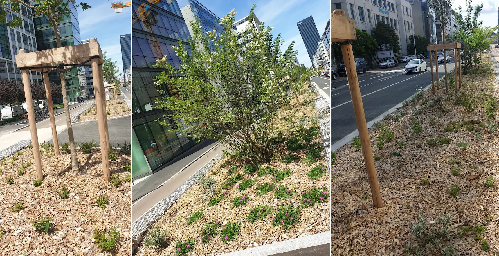 • Création & Entretien d'espace verts •