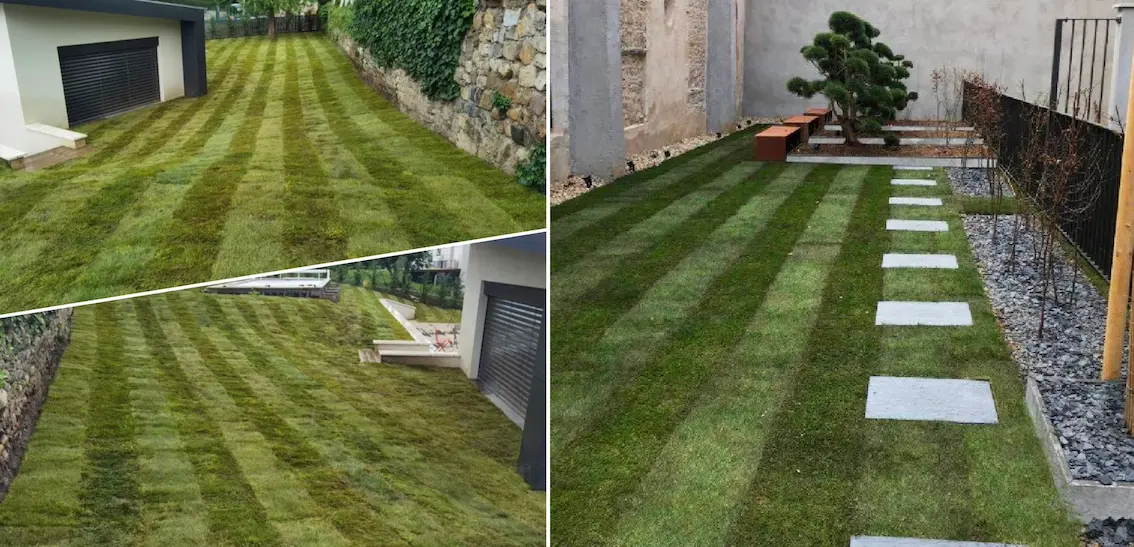 • Création & Entretien d'espace verts •